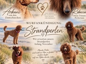 Von den Strandperlen