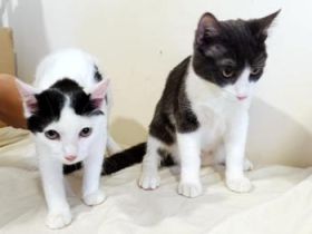 Coco und Oliver