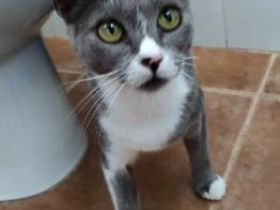 Ilda