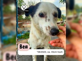 BEA - endlich frei