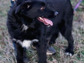 Mayu, Black ist beautiful !