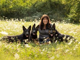 Annette Schmitz - Stadtwolf-Hundetrainerin