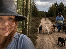 Sarah Wernighaus - Stadtwolf-Hundetrainerin