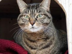 Zoe, Einzelprinzessin