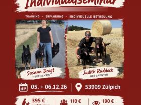 Individualseminar