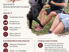 Hunde lesen lernen - light