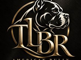 TLBR Tyson’s Legendary Bully Roots