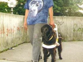 Die Ausbildung zum Blindenführhund
