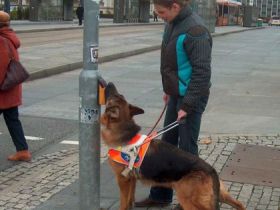 Die Blindenführhundschule "mobil" stellt sich vor