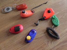 Clickertraining für Hunde (Teil 1): Clickern für Anfänger