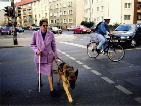 Der Blindenführhund