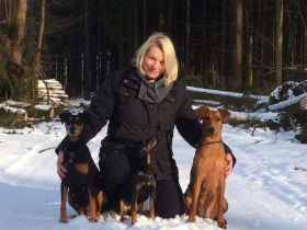 Die Deutschen Pinscher "vom Kaiser Haus" stellen sich vor