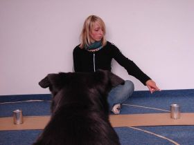 Forschung mit Hunden: Teilnehmer gesucht