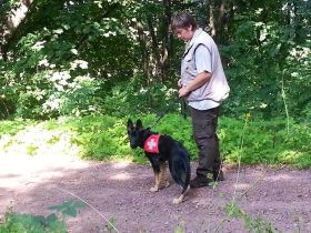 Mein Hund zieht an der Leine (Teil 1): Wie Sie mit Ihrem Welpen Leinenführigkeit trainieren