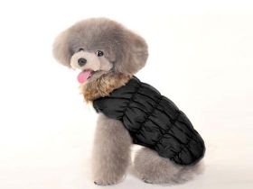 Hundebekleidung: Modischer Firlefanz oder sinnvolles Hundezubehör?