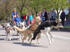 Hundefinder begeisterte mit Ausstellern auf der Haustiermesse Sachsen in Leipzig