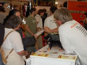 Hundefinder.de auf der Heimtiermesse Dresden