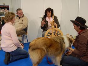 Hundefinder auf der 18. Touristik & Caravaning in Leipzig