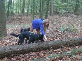 Hundehaltung: Sollte ich mir einen Hund anschaffen?