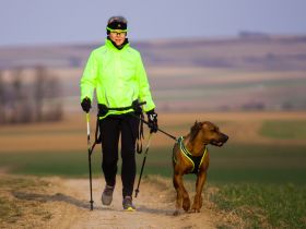 Zughundesport für "jederhund" - das Motto von Abenteuerhun.de