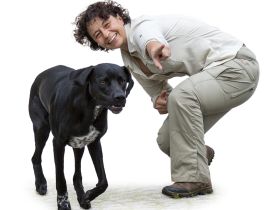 Die Eröffnung meiner Hundeschule