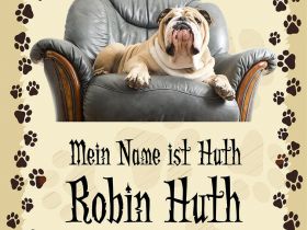Leseprobe: "Mein Name ist Huth, Robin Huth"