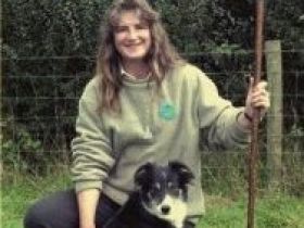 Quo vadis Border Collie?