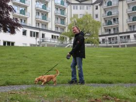 Mit dem Hund bei der Reha