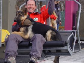 Retter auf vier Pfoten: Die Ausbildung von Rettungshunden