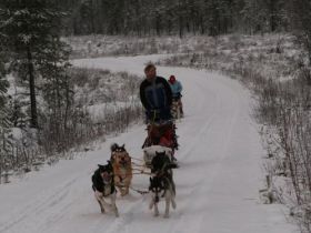 Schlittenhunde machen Urlaub in Finnland (Teil 3)
