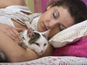 Hilfe, meine Katze ist unsauber...!