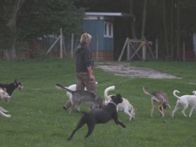 Urlaub mit Hund - auf dem Campingplatz Blütengrund in Naumburg