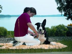 Wellness-Urlaub für Mensch und Hund in der Villa Kunterbunt